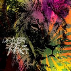 Driver Side Impact : Lion